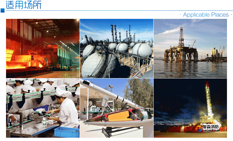 ZT-FBGY-2�m����ʯ�͡�������܊����ұ����ˎ���ИI�к�����ȼ�ױ���Ϛ��w�Ĉ���