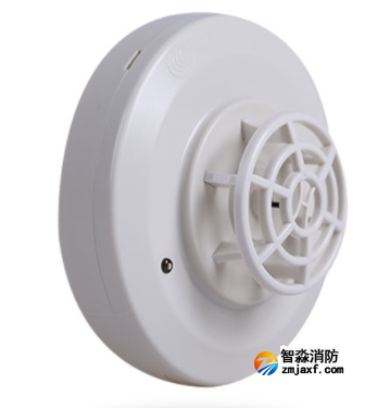 ���МظеľS�o���B���E