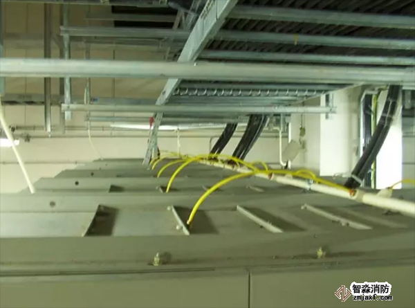 ���w�Ϸ����H������Ƭ