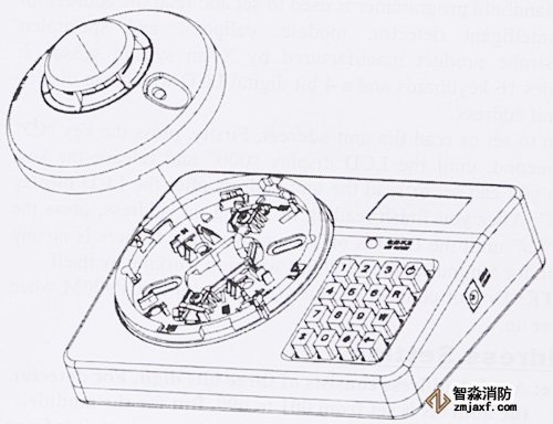 ̽�y���B���D