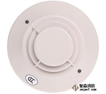 ���̽�y��