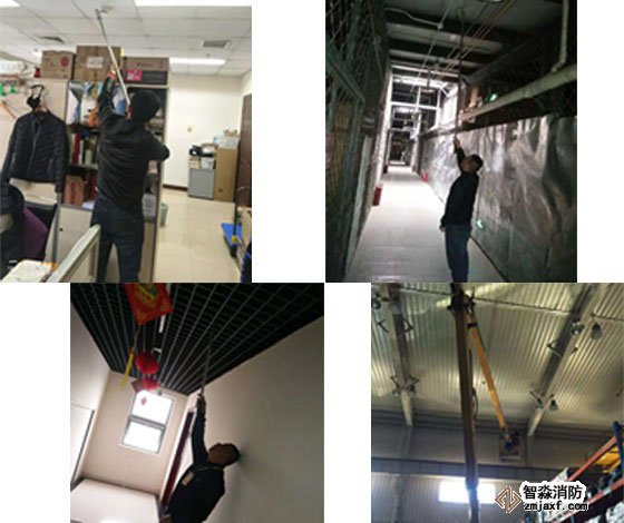 �|����������̽�y���z�y